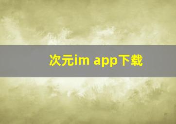 次元im app下载